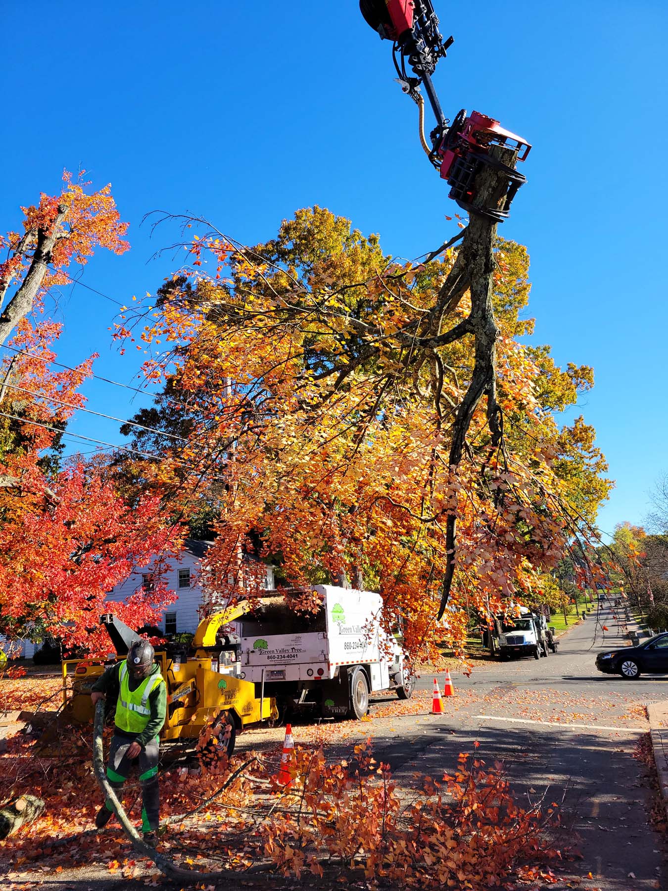 Tree Services Tree Removal Service In North Windham