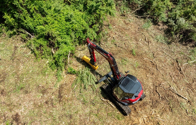 Tree removal Tree Chipping