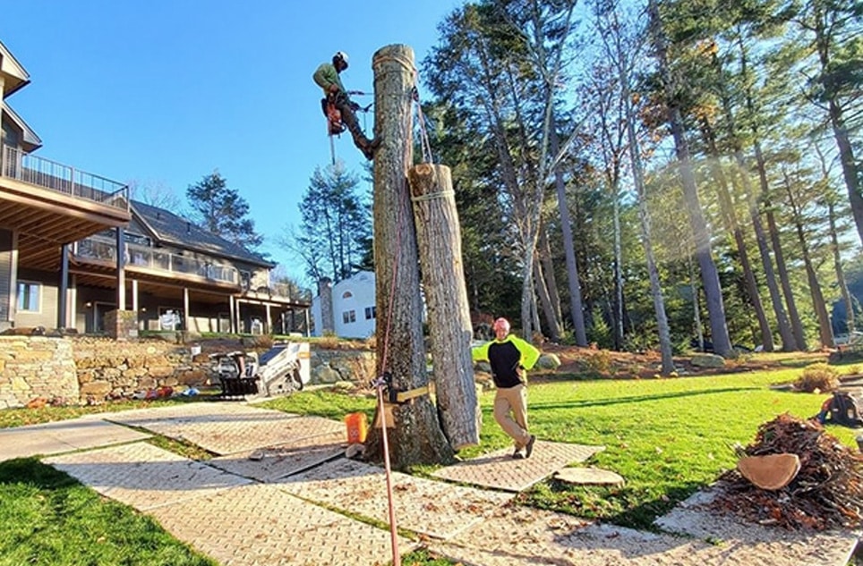 Expert Tree Services North Windham CT