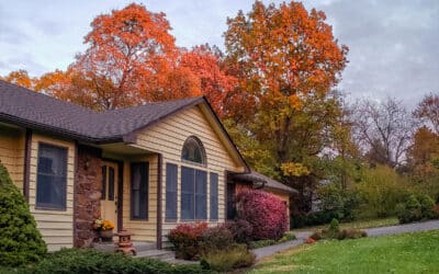 Tree Tips & Tricks for Fall
