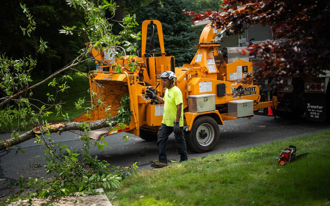 Why We’re the Go-To Partner for Tree Care Professionals, Landscapers, and Builders