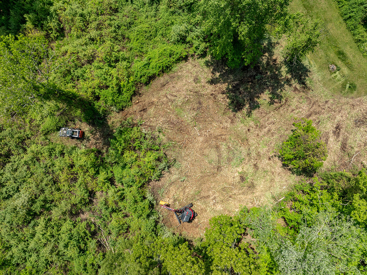 Storm Emergency Tree Service and Emergency Tree Removal