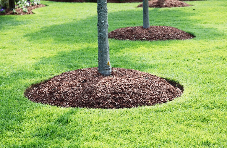 Mulch and Mulching Services, Tree Services in CT, Green Valley Tree Services
