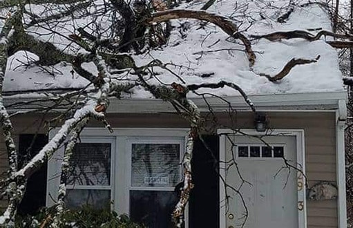 Storm Emergency tree removal tree service ct
