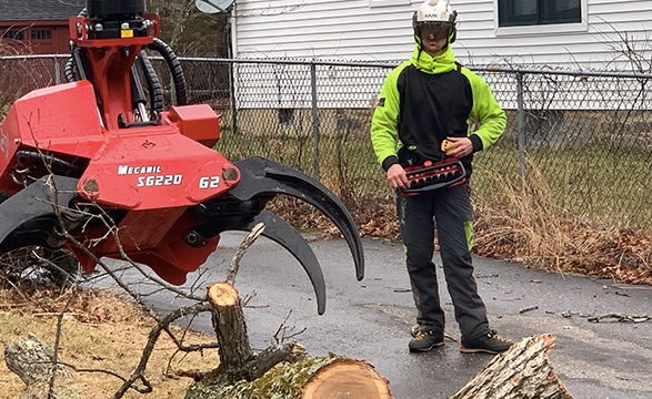 Mechanical Tree Removal in CT