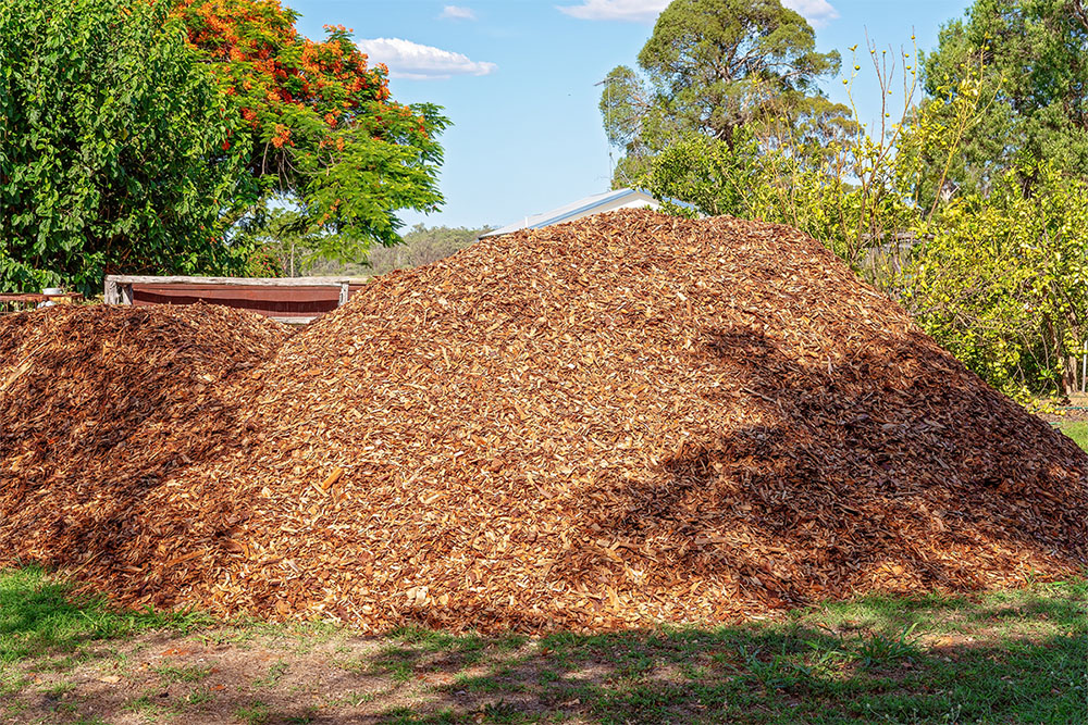 Eliminate weeds with mulch and mulching garden beds