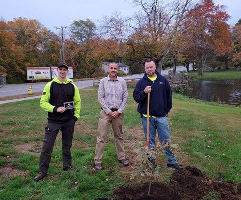 Green Valley Tree | CT Tree Removal, Tree Trimming, Tree Pruning